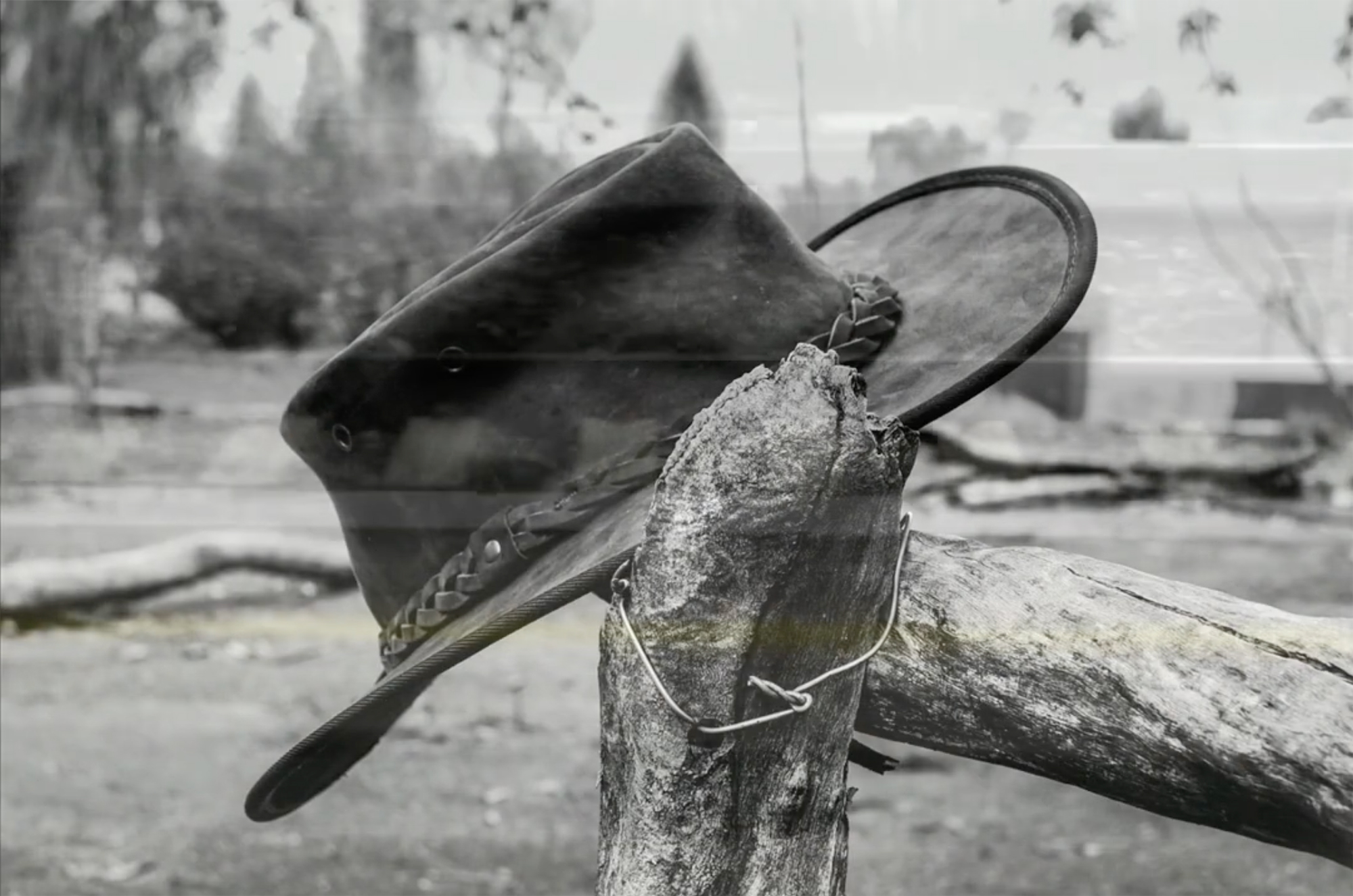 Visuel Clip "L'Express" Fabrice Beauvoir